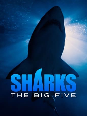 Sharks - The Big Five