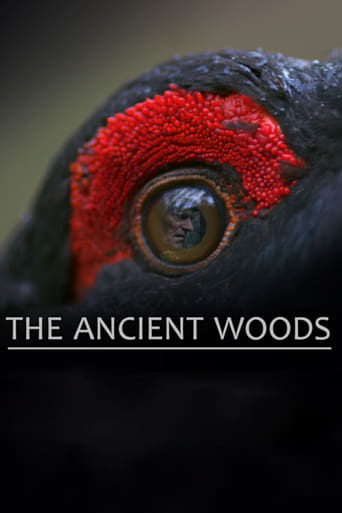 Watch The Ancient Woods