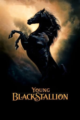 Watch Young Black Stallion
