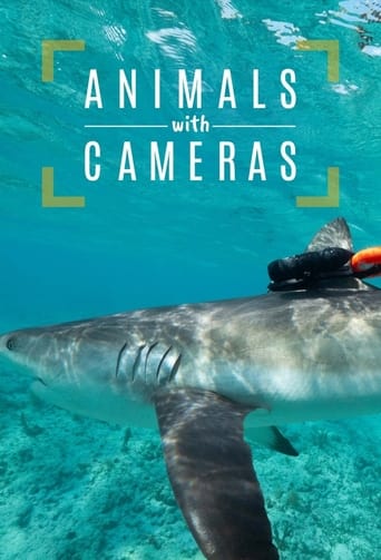 Animals with Cameras, A Nature Miniseries