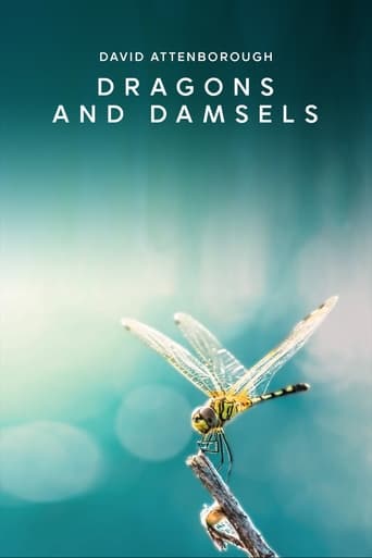 Watch Dragons and Damsels