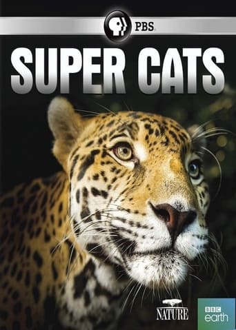 Watch Super Cats