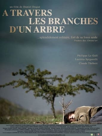 À travers les branches d'un arbre