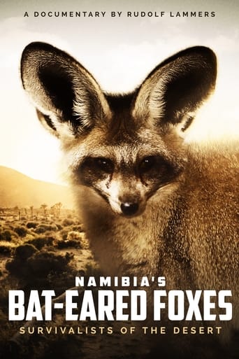Namibia's Bat-eared Foxes: Survivalists of the Desert