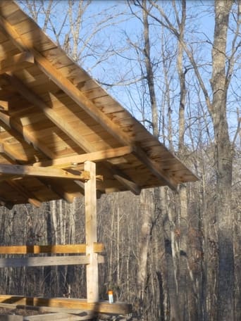 Worthy of Temples: Building a Timber Frame Cabin with Traditional Wood Joinery