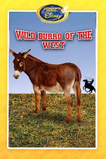 Watch Wild Burro of the West