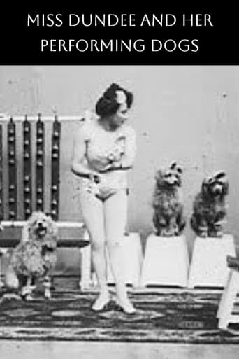 Watch Miss Dundee and Her Performing Dogs