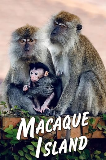 Macaque Island