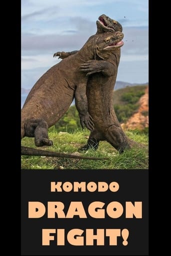 Komodo Dragon Fight!