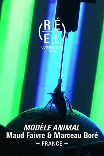 Animal Model