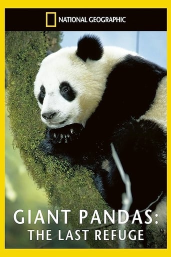 Giant Pandas: The Last Refuge