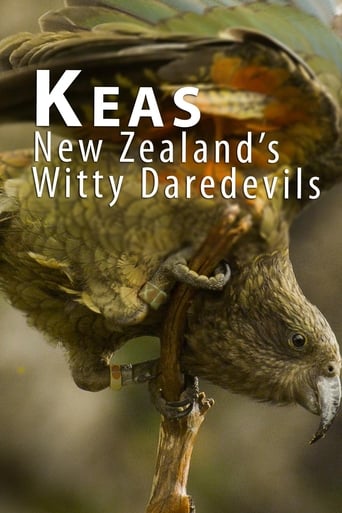Heimliche Helden - Keas in Neuseeland