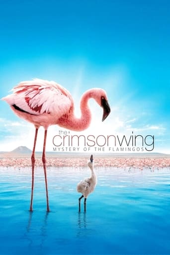 Watch The Crimson Wing: Mystery of the Flamingos