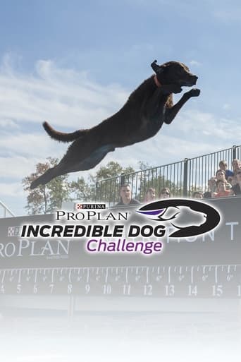 Watch The Incredible Dog Challenge Tour