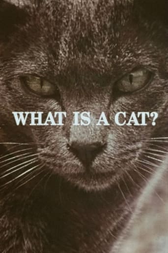 Watch What Is a Cat?