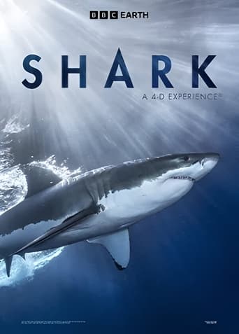 Shark: A 4D Experience