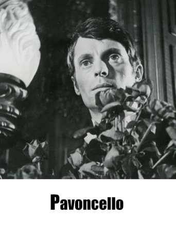 Watch Pavoncello