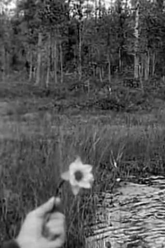 Summer Memories from Västerbotten 1912