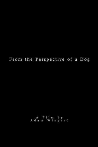 From the Perspective of a Dog