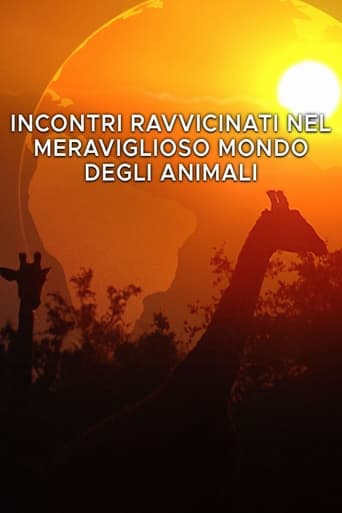 Incontri ravvicinati nel meraviglioso mondo degli animali