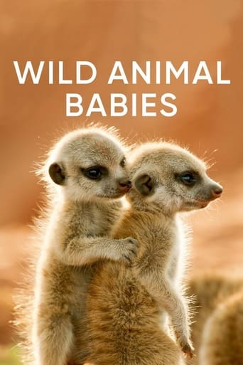 Watch Wild Animals Babies