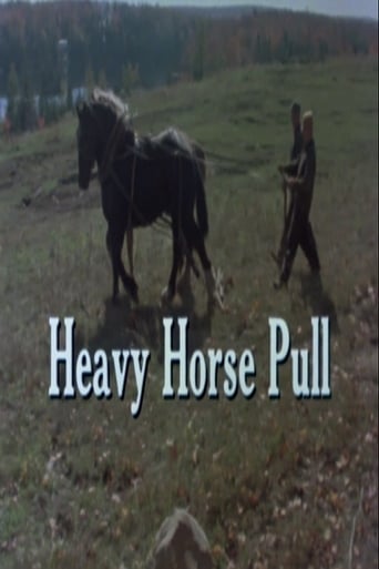 Watch Heavy Horse Pull