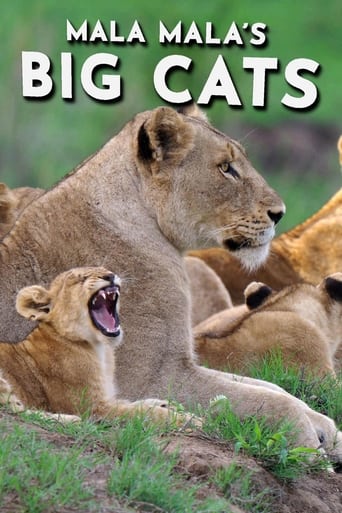 Mala Mala's Big Cats