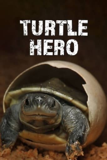 Turtle Hero