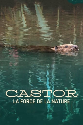 Castor, la force de la nature