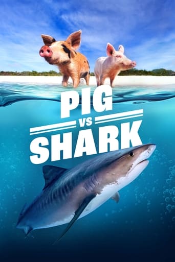 Pig vs. Shark