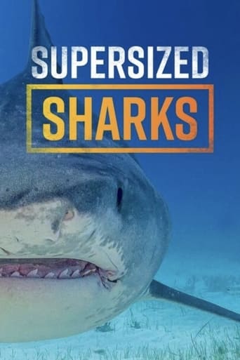 Supersized Sharks