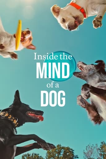 Watch Inside the Mind of a Dog