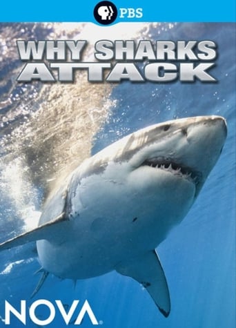 Watch Why Sharks Attack