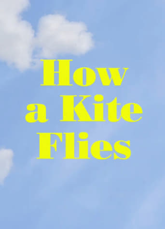 Watch How a Kite Flies