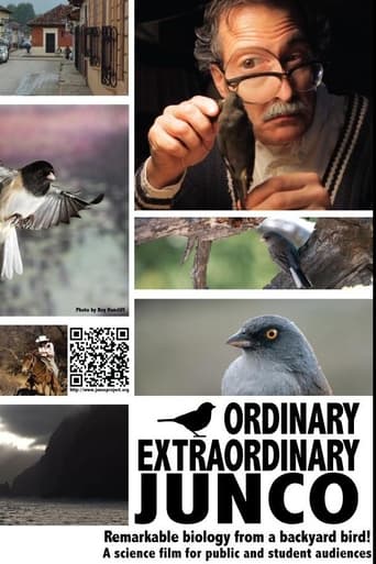 Ordinary Extraordinary Junco