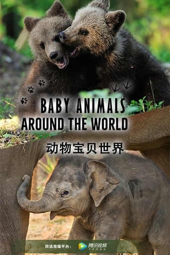 Watch Baby Animals Around the World