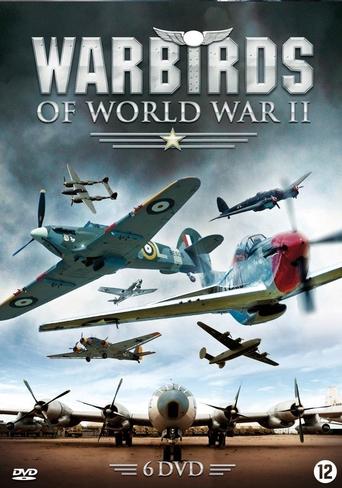 Warbirds of World War II