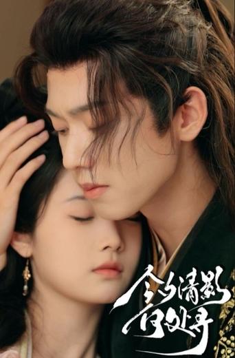 今夕清影何处寻