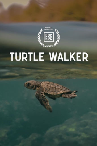 Turtle Walker