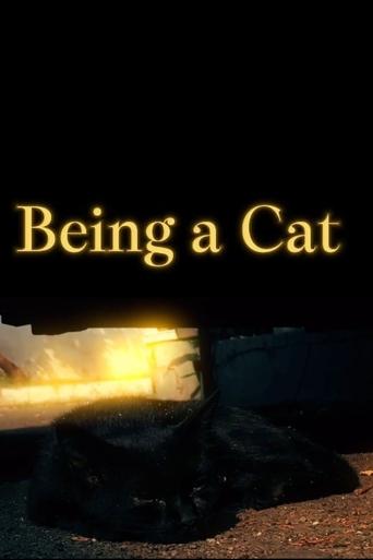 Being a Cat: PILOT - Black Cat