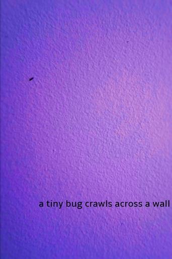 a tiny bug crawls across a wall