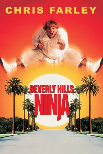 Watch Beverly Hills Ninja