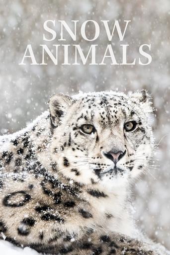 Watch Snow Animals