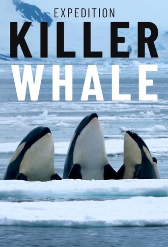 Expedition Killer Whale