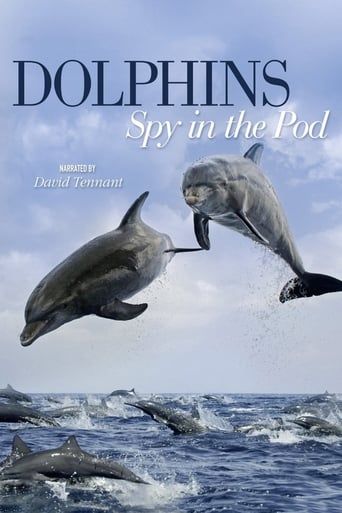 Watch Dolphins: Spy in the Pod