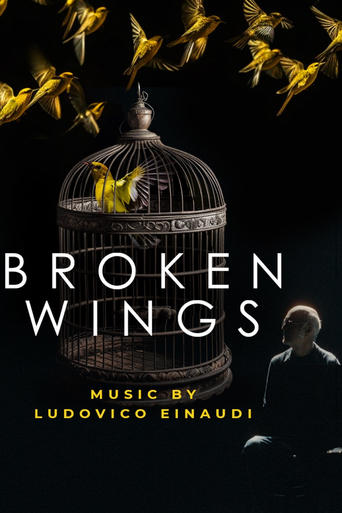 Broken Wings