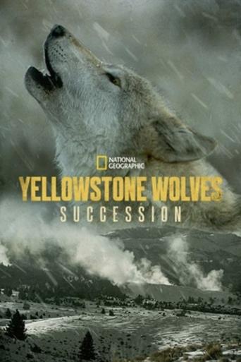 Yellowstone Wolves: Succession