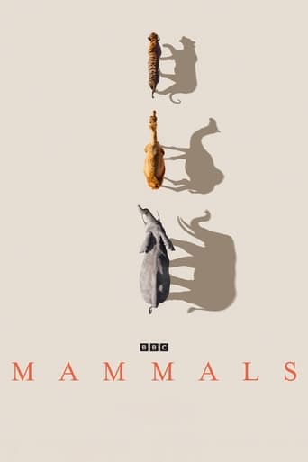 Watch Mammals