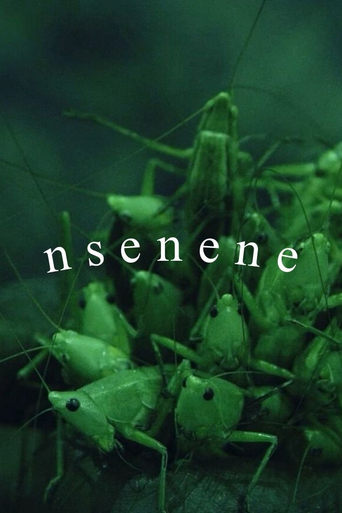 Nsenene