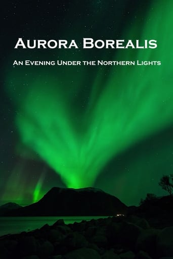 Aurora Borealis: An Evening under the Northern Lights